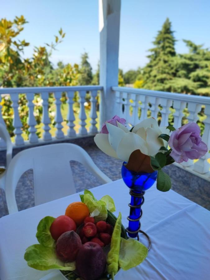 Olympus Mytikas Apartment Літохоро Екстер'єр фото